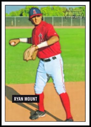 242 Ryan Mount